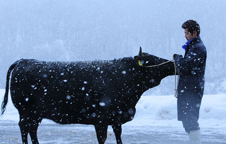 ふるさと納税の使い道3